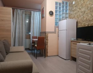 Studio for sale in Cluj-napoca, zone Dambul Rotund