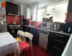 Apartament cu doua camere, mobilat, strada Eroilor, Floresti