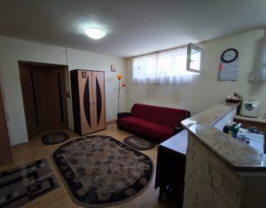 Apartament cu doua camere, complet dotat, Valea Garbaului