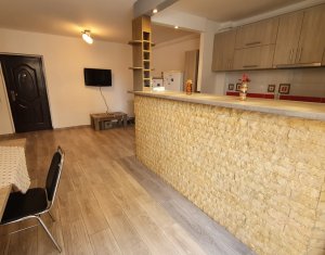 Apartament cu doua camere, finisat modern, mobilat, strada Porii 