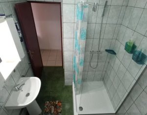 Appartement 1 chambres à vendre dans Cluj-napoca, zone Manastur