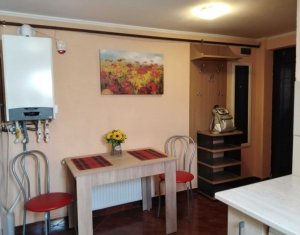 Apartment 1 rooms for sale in Cluj-napoca, zone Iris