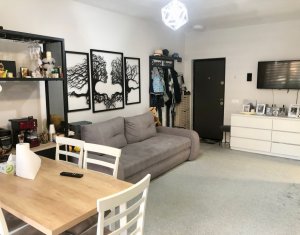 Apartament 2 camere, 42 mp utili plus gradina, amenajat si utilat