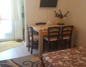 Apartment 1 rooms for sale in Cluj-napoca, zone Manastur