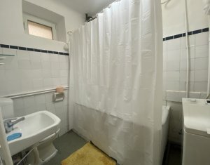 Appartement 1 chambres à vendre dans Cluj-napoca, zone Centru