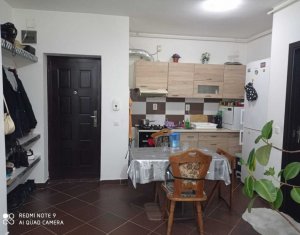 Appartement 2 chambres à vendre dans Cluj-napoca, zone Iris