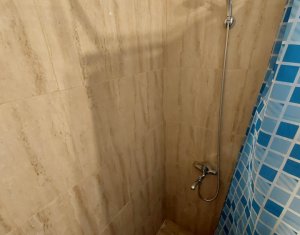 Appartement 1 chambres à vendre dans Cluj-napoca, zone Gruia