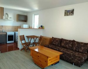 Appartement 1 chambres à vendre dans Cluj-napoca, zone Grigorescu