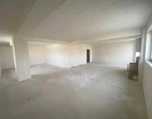 Apartament 3 camere cu terase generoase,  penthouse,  zona Iulius Mall