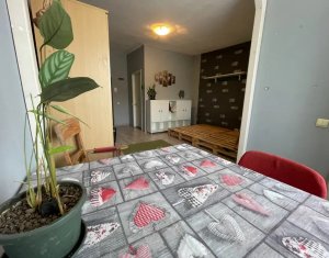 Appartement 1 chambres à vendre dans Cluj-napoca, zone Iris