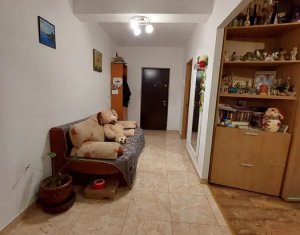 Apartament de vanzare 44 mp, etaj intermediar, balcon, zona Vivo, Razoare