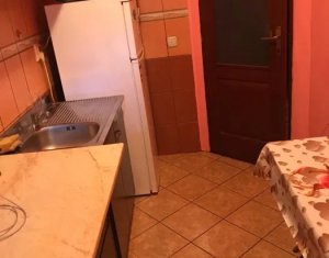 Apartament 1 camera, demisol, Baciu