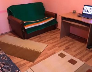 Apartament 1 camera, demisol, Baciu