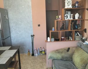 Apartament 1 camera, etaj intermediar, Gruia, Vanatorului
