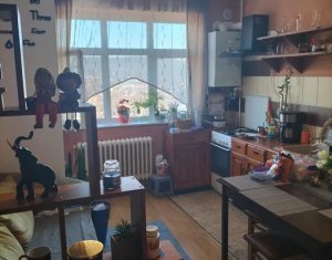 Apartament 1 camera, etaj intermediar, Gruia, Vanatorului