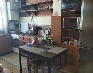 Apartament 1 camera, etaj intermediar, Gruia, Vanatorului