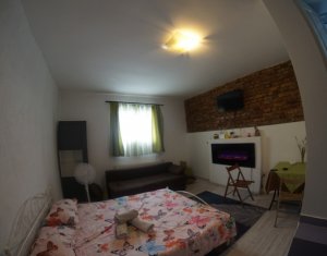 Apartament cu 1 camera la casa, zona Piata Abator