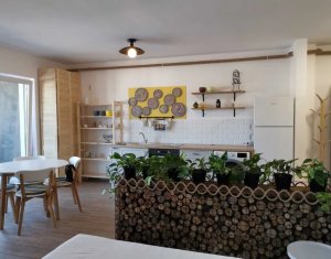 Appartement 1 chambres à vendre dans Cluj-napoca, zone Iris