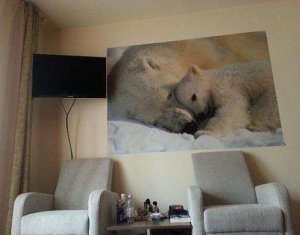 Apartament 3 camere, decomandat, 73 mp, Dorobantilor