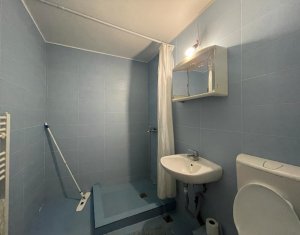 Apartment 2 rooms for sale in Cluj-napoca, zone Intre Lacuri