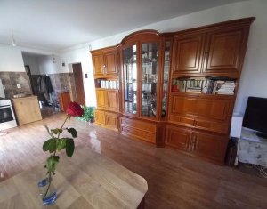 Apartament 2 camere si curte privata Floresti