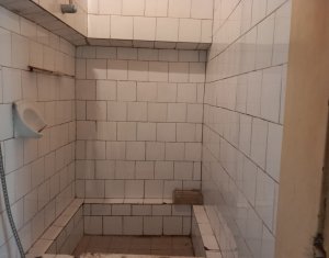  Apartament cu 1 camera, plus pod mansardabil, zona SORA