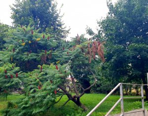 Apartament cu doua camere in centrul Florestiului, strada Eroilor