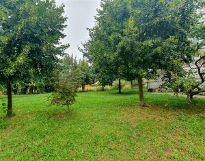 Apartament cu doua camere in centrul Florestiului, strada Eroilor