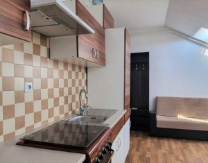 Apartament cu 2 camere, zona Kaufland Marasti