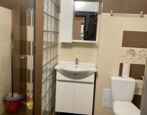 Appartement 2 chambres à vendre dans Cluj-napoca, zone Borhanci