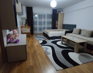 Apartament 1 camera, 35 mp, Someseni