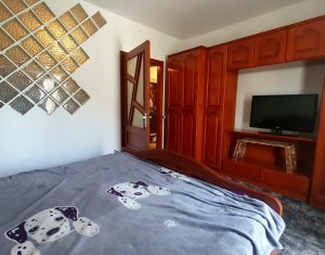 Apartament cu doua camere, mobilat si utilat complet, strada Florilor