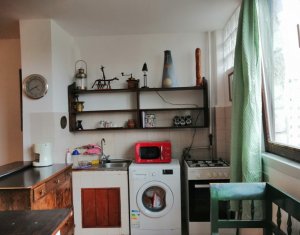 Garsoniera 28 mp, Manastur, zona complexului Big