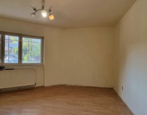 Apartament pe malul Somesului, Grigorescu