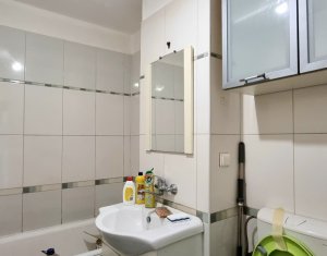 Apartament pe malul Somesului, Grigorescu