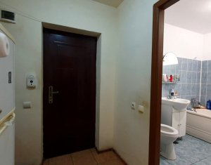 Apartament cu o camera, gradina 30 mp, strada Eroilor, Floresti
