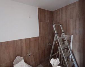 Apartament, 2 camere , Mansarda 55mp + 20mp Pod , zona G . BACOVIA 