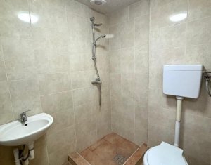 Appartement 1 chambres à vendre dans Cluj-napoca, zone Iris