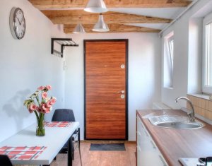 Apartamant o camerea Andrei Mureseanu