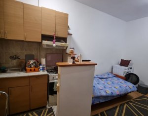 Garsoniera spatioasa situata in Dambul Rotund, la pret avantajos