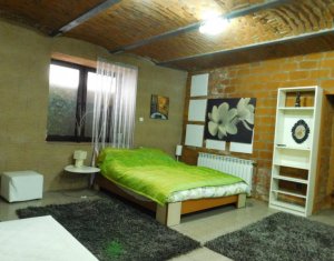 Vanzare apartament cu 2 camere, central, zona strazii Napoca
