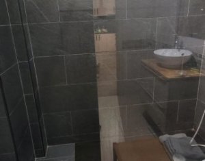 Appartement 2 chambres à vendre dans Cluj-napoca, zone Plopilor