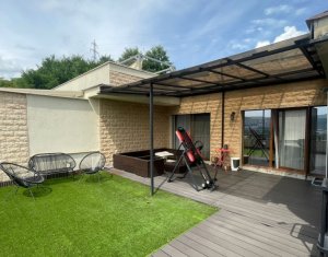 Apartament cu terasa la cheie, Grigorescu