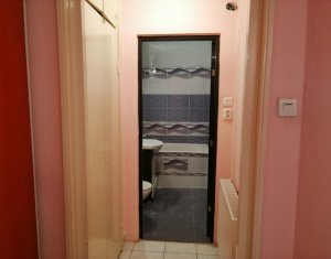 Apartament cu o camera situat la 5 minute de Iulius Mall