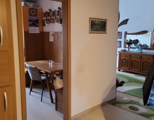 Apartment 3 rooms for sale in Cluj-napoca, zone Andrei Muresanu