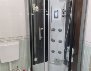 Apartment 3 rooms for sale in Cluj-napoca, zone Buna Ziua