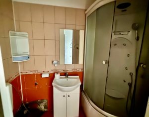 Apartment 1 rooms for sale in Cluj-napoca, zone Buna Ziua