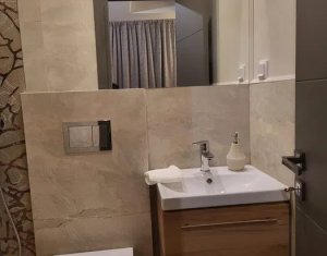 Apartament open space, 30 mp, Semicentral, zona Facultatii de Litere