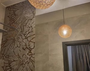Apartament open space, 30 mp, Semicentral, zona Facultatii de Litere