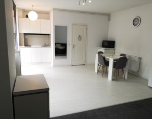Apartament 1 camera, 40 mp, demisol, spatiu comercial, Marasti